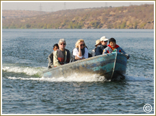 Chambal Safari